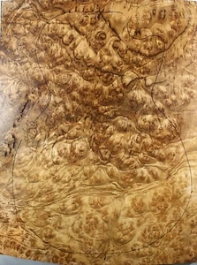 Guitarra 25mm 5A Tallada Top Birdseye Manchado Alcanfor Dorado Madera Burl Luthier - Imagen 1 de 4