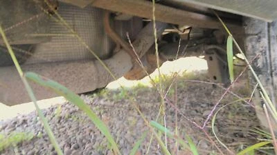 16 FORD TRANSIT 350 Rear Axle Assy. (9.75" Ring Gear) Srw 3.31 Ratio — 第 1/4 张图片