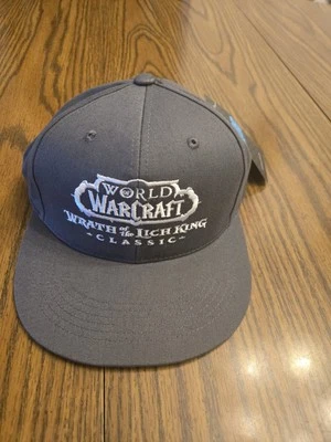 Sombrero Blizzard WoW Ira del Rey Exánime Clásico Gris Gris Billete Plano NUEVO CON ETIQUETAS NUEVO  Foto 1 de 4