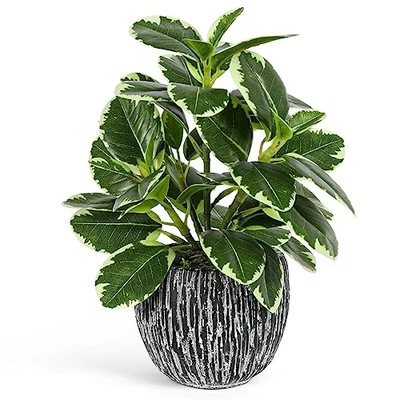 Plantas artificiales de interior y exterior, planta de hoja de roble abigarrada sintética, verde falso #02 Foto 1 de 4