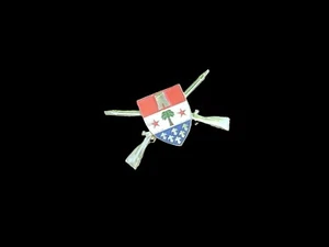 Vintage Military U.S. Army 1st battalion 110th Infantry regiment pin ? - Bild 1 von 7