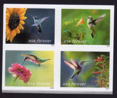 Scott #5848a (5845-48) Garden Delights Block of 4 Forever Stamps - MNH UV - Image 1 of 2