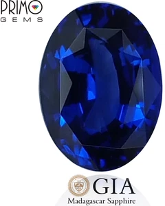 Sapphire Distinctive GIA Certified 1.31ct 7.5x5.5mm Oval - Picture 1 of 12