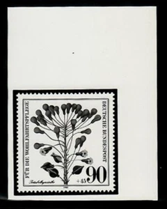 Photo Essay, Germany ScB580 Wildflower, Grape Hyacinth. - Picture 1 of 1
