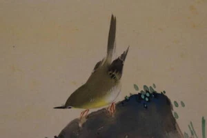 QUADRO GIAPPONESE PERGAMENA APPESA GIAPPONESE WARBLER NIGHTINGALE VINTAGE 609q - Foto 1 di 11