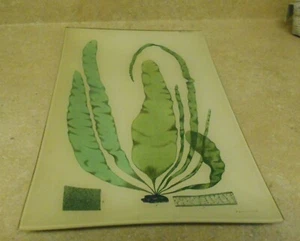John Derain Glass Decoupage SEAWEED / PLANTS Tray 9.5" x 15.5 " Signed - Picture 1 of 6