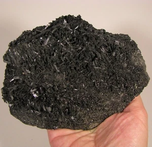 5,9" schwarzer Turmalin Kristalle Cluster auf Matrix - Jbel Ayachi, Marokko - 2,7 Pfund - Bild 1 von 8