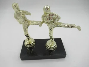 Trofeo o premio de Karate o Artes Marciales, 5-1/2"+ Alto. Nuevo Ver detalles "Mirar" - Imagen 1 de 5