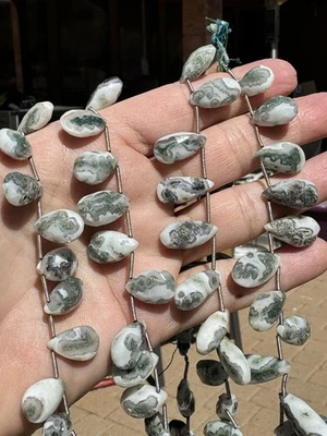 Natural Solar Quartz Briolettes, Faceted Teardrop Shape, 16x10mm, 16pcs 8" Strin - Image 1 of 3