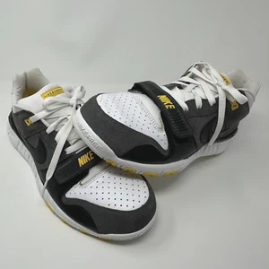Nike Livestrong Trainer Dunk Low Men's 12 Lance Armstrong 371553-101 Used No Box - Picture 1 of 12