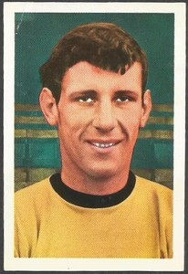FKS 1968/69 WONDERFUL WORLD OF SOCCER-#330-WOLVES-DAVID WOODFIELD