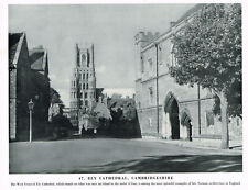 Ely Cathedral Cambridgeshire Vintage Picture Old Print 1951 CLPBOB1#47