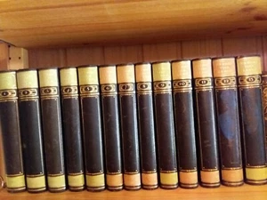 BREHMS VIE ANIMALE 1925 1926 1927 1930 1931 13 volumes complets livres anciens - Photo 1/12