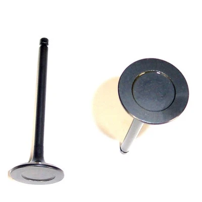 Válvula de escape del motor DNJ EV121 para Hyundai Accent Scoupe 95-02 Foto 1 de 4