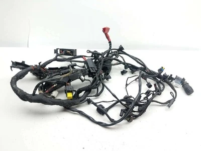 Telar arnés de cableado principal BMW R1200GS Adventure 09-13 Foto 1 de 4