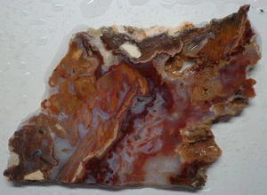 WRG- Rare Lysite Agate Slab 71 grams Wyoming Lapidary - Picture 1 of 4