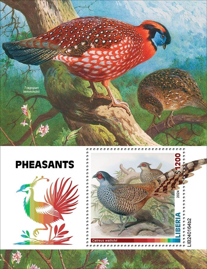 Estampillas de faisanes pájaros MNH 2024 Liberia S/S Foto 1 de 1