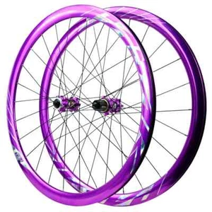 700C Road Bike Wheelset Disc Brake 6 Pawls HG XD MS 8-12 Speed Thru Axle Hub - Bild 1 von 27