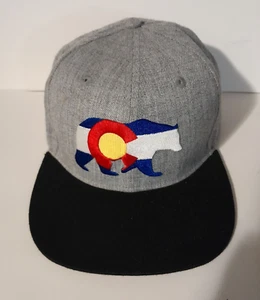 Colorado State Flag & Bear Outline Snapback Flatbill Hat Cap - Picture 1 of 4