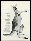 1960 Qantas airlines kangaroo baby joey photo vintage print ad