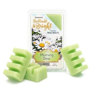 Wax Melts Hannas brillanter & heller Morgentau 2,5 Oz. - Bild 1 von 3
