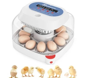 Sailnovo 12 Egg Incubator - Picture 1 of 4