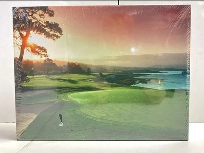 New Springbok 500 Piece Puzzle Pebble Beach Golf Green Hole 18 Sand Trap Putt - Image 1 of 4