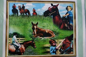 MANTA DE TIRO AFGANA HORSE FAMILY NUEVA - Imagen 1 de 1