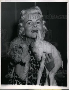 1960 Press Photo Mrs Helen Frederick Head Chicago Children's Zoo with Fawn & Cub - Picture 1 of 2