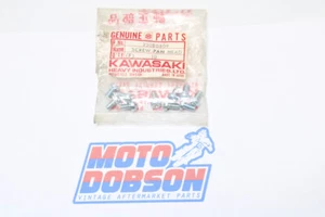 Kawasaki 220B0509 Superseded by 220AA0510 Screw Pan Head (10) - Picture 1 of 4