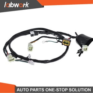 Labwork Wiring Harness Assy for Honda Sportrax 400 TRX400EX 99-04 32100-HN1-000 - Picture 1 of 8