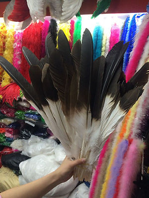 Beautiful 12-18 Inch /30-45 Cm Set Rare And Precious White Feathers Pattern Hot • 61.43€