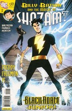 Billy Batson And The Magic of Shazam! #15 FN; DC | save on shipping - details in