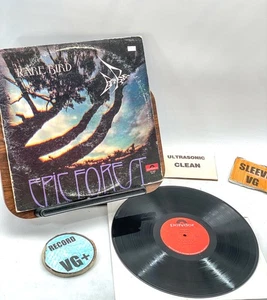 Rare Bird Epic Forest - VG+/VG 1972 Ultrasonic Clean - Picture 1 of 3