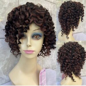 Afro Kinky Curly Highlight Mix Dark Brown Synthetic Hair Wig Black Women Natural