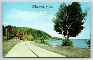 Postal Ellsworth, Michigan vista escénica, carretera, follaje de otoño, orilla del lago - Imagen 1 de 2