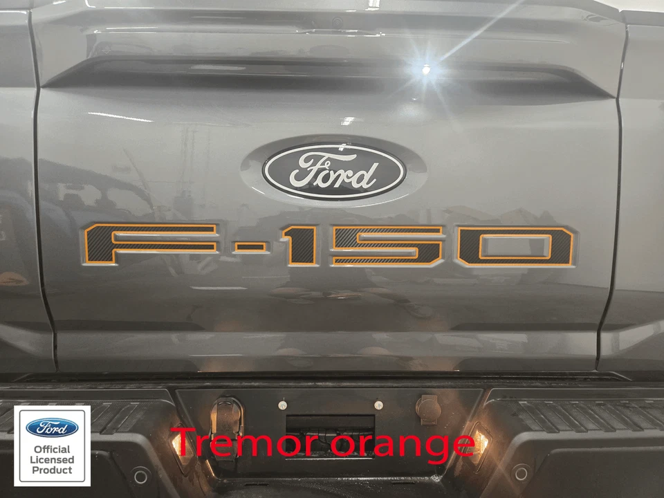 Se adapta a Ford F150 Pro Access 2024 portón trasero F-150 letra con contornos calcomanía adhesiva Foto 1 de 4