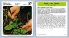 Hilling Up And Thinning #9 Kitchen Garden - My Green Gardens 1987 Cardmark Card