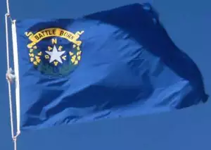 BANDERA DEL ESTADO NEVADA nueva calidad superior 3x5 ft tamaño decoloración resistencia bandera vendedor de estados unidos - Imagen 1 de 3