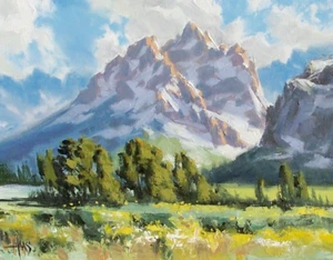 TOM HAAS painting 'Teton' oil 11"x14" Wyoming mountain snow forest flowers sky - Picture 1 of 2