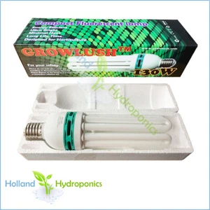 130W 6400K COMPACT FLUORESCENT LAMP (CFL) Hydroponics Grow Room Light Bulb Globe - Picture 1 of 3