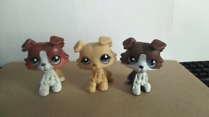 3 pièces/lot Littlest Pet Shop Collie Dogs #1194#1542 Figurines Animaux Neuf