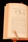 1898 Handbook Of Insects Injurious To Orchard And Bush Fruits Eleanor Ormerod