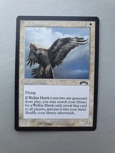 Welkin Hawk , MTG Exodus (1998), Common White Creature NM - Picture 1 of 2