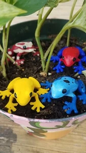 5ct 3D Printed Poison Dart Frog Magnets - Picture 1 of 5