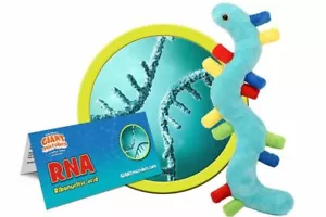 ARN de microbios gigantes (ácido ribonucleico) - Imagen 1 de 5