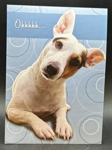 Happy Birthday (Paws & Claws) Dog Greeting Card w/Envelope - Picture 1 of 4