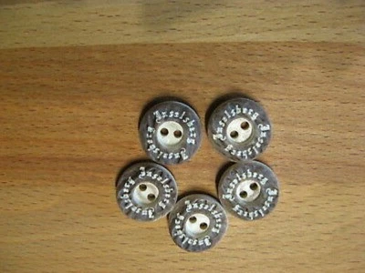 8 knöpfe  Braun Creme Hirschhorn Optik für Trachten 17 mm 2 Loch NEU - Bild 1 von 4