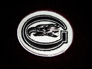 Vintage Dan Gurney'S The All American Racer Eagle Patch 1970'S – Rare – Original - Picture 1 of 3