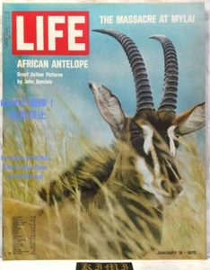 Rare LIFE Magazine JANUARY 19 1970 Vol.48 No.1 THE MASSACRE AT MYLAI AFRICAN ANT - Picture 1 of 24